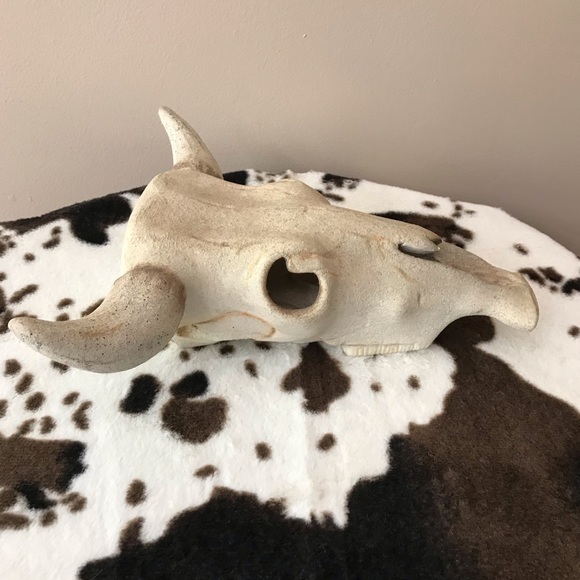 Vintage Stone Replica of a Steer Head Skull EUC - Picture 3 of 6